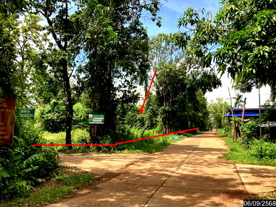 ขายที่ดิน : ที่ดินว่างเปล่า 1828 ตร.วา โพนนาแก้ว สกลนคร 2.1M