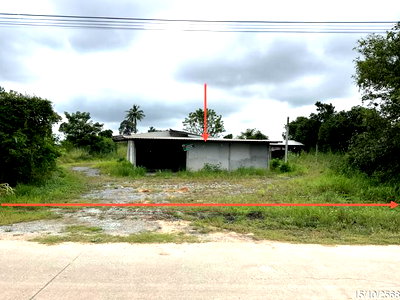 บ้านเดี่ยว ลาดยาว นครสวรรค์ : บ้านเดี่ยว 609 ตร.วา ลาดยาว นครสวรรค์ 1.1M