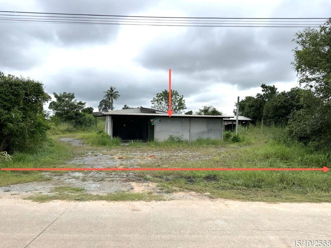 รูป บ้านเดี่ยว 609 ตร.วา ลาดยาว นครสวรรค์ 1.1M - รูปที่ 1/45