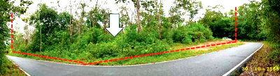 ขายที่ดิน : ที่ดินว่างเปล่า 8260 ตร.วา รามัน ยะลา 2.5M