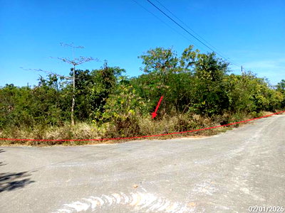 ขายที่ดิน : ที่ดินว่างเปล่า 419 ตร.วา ภูริพิมาน ปากช่อง นครราชสีมา 1.8M