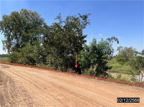 รูป ที่ดินว่างเปล่า 2038 ตร.วา เมืองกาฬสินธุ์ กาฬสินธุ์ 858,000 - รูปที่ 20/23