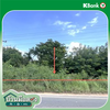 listing thumbnail image 14