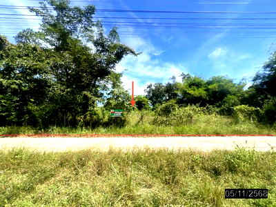ขายที่ดิน : ที่ดินว่างเปล่า 400 ตร.วา เมืองอุบลราชธานี อุบลราชธานี 1.6M