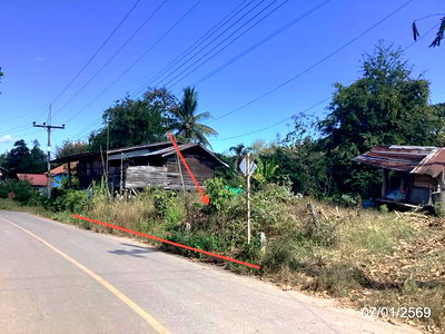 ขายที่ดิน : ที่ดินว่างเปล่า 231 ตร.วา เชียงม่วน พะเยา 454,000