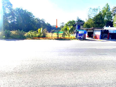 ขายที่ดิน : ที่ดินว่างเปล่า 800 ตร.วา เมืองกาฬสินธุ์ กาฬสินธุ์ 4.8M