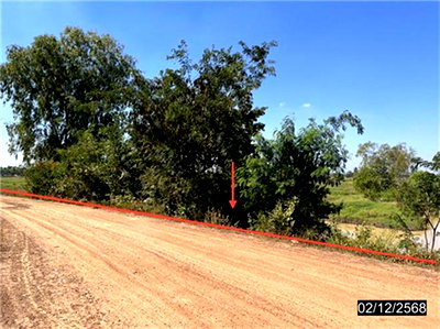 ขายที่ดิน : ที่ดินว่างเปล่า 2038 ตร.วา เมืองกาฬสินธุ์ กาฬสินธุ์ 858,000