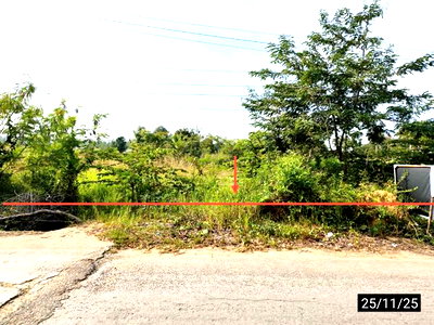 ขายที่ดิน : ที่ดินว่างเปล่า 171 ตร.วา เมืองขอนแก่น ขอนแก่น 684,000