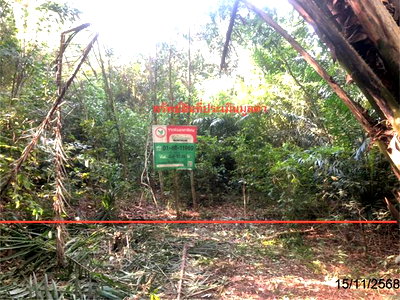 ขายที่ดิน : ที่ดินว่างเปล่า 97 ตร.วา เมืองสุราษฎร์ธานี สุราษฎร์ธานี 661,000