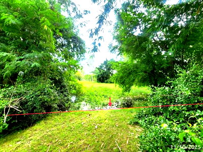 ที่ดิน วิทยาลัยพยาบาลศรีมหาสารคาม : ที่ดินว่างเปล่า 2368.3 ตร.วา เมืองมหาสารคาม มหาสารคาม 4.8M