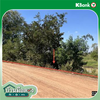 listing thumbnail image 20