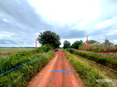 ขายที่ดิน : ที่ดินว่างเปล่า 8332 ตร.วา วังทอง พิษณุโลก 8.7M