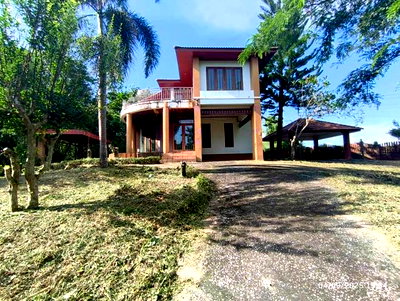 บ้านเดี่ยว เชียงราย : บ้านเดี่ยว 3291 ตร.วา แม่สาย เชียงราย 13M