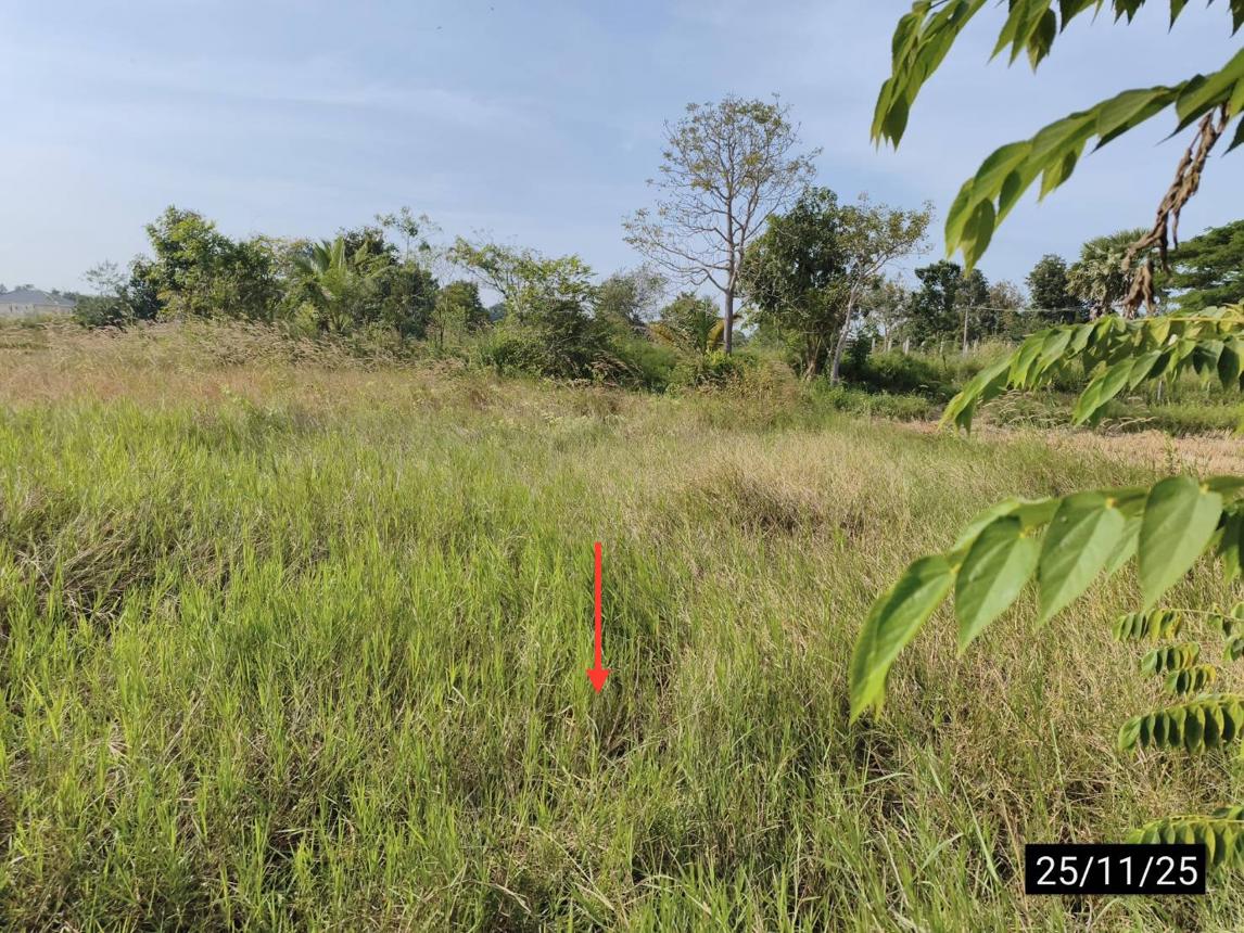 รูป ที่ดินว่างเปล่า 171 ตร.วา เมืองขอนแก่น ขอนแก่น 684,000 - รูปที่ 13/17