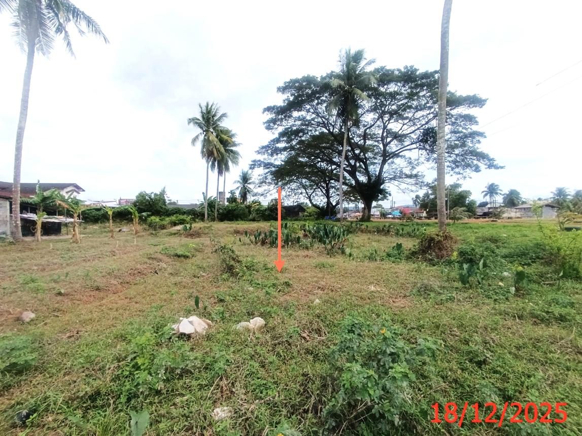 รูป ที่ดินว่างเปล่า 45.6 ตร.วา เมืองสตูล สตูล 504,000 - รูปที่ 13/17