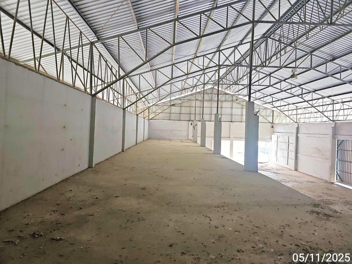 รูป โกดัง 1400 ตร.วา ศรีสำโรง สุโขทัย 7.8M - รูปที่ 33/55