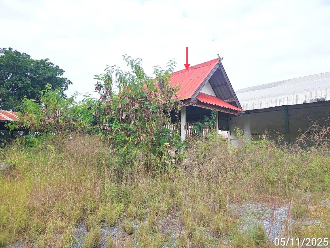 รูป โกดัง 1400 ตร.วา ศรีสำโรง สุโขทัย 7.8M - รูปที่ 48/55