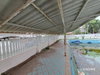 listing thumbnail image 39