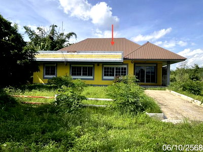 บ้านเดี่ยว เชียงราย : บ้านเดี่ยว 2430 ตร.วา เชียงแสน เชียงราย 25.8M