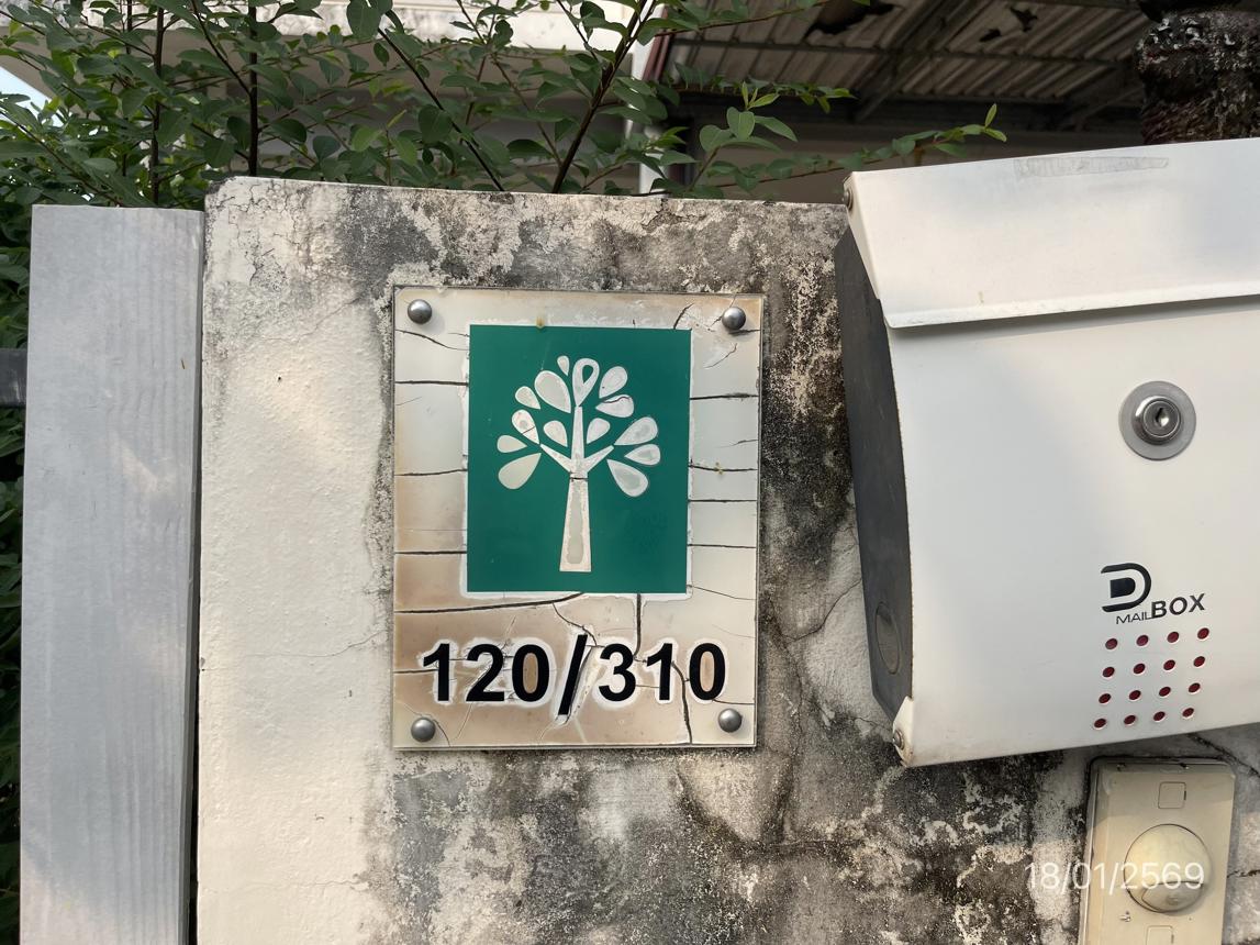 รูป บ้านเดี่ยว 59.7 ตร.วา เดอะ ทรี ศรีราชา ชลบุรี 3.4M - รูปที่ 48/53