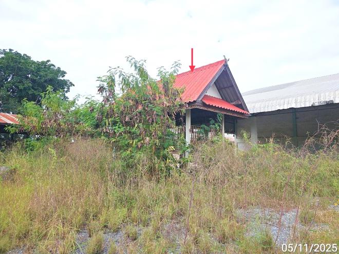รูป โกดัง 1400 ตร.วา ศรีสำโรง สุโขทัย 7.8M - รูปที่ 23/55