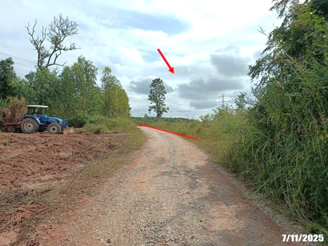 รูป ที่ดินว่างเปล่า 7878 ตร.วา ศรีบุญเรือง หนองบัวลำภู 914,000 - รูปที่ 20/25