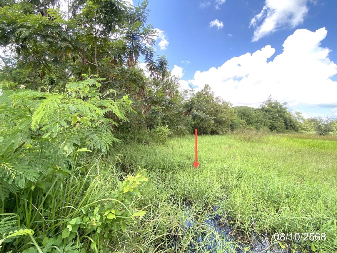 รูป ที่ดินว่างเปล่า 648 ตร.วา เมืองมหาสารคาม มหาสารคาม 3M - รูปที่ 12/17