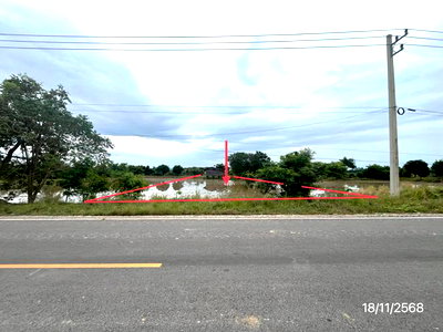 ขายที่ดิน : ที่ดินว่างเปล่า 854 ตร.วา วังทอง พิษณุโลก 1.1M
