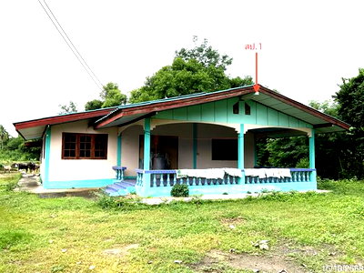 บ้านเดี่ยว ลาดยาว นครสวรรค์ : บ้านเดี่ยว 619 ตร.วา ลาดยาว นครสวรรค์ 2.4M