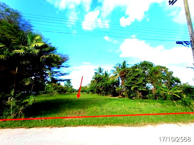 Land for sale Chiang Mai : LAND 250 Sq.w. Fang Chiang Mai for 1.6M
