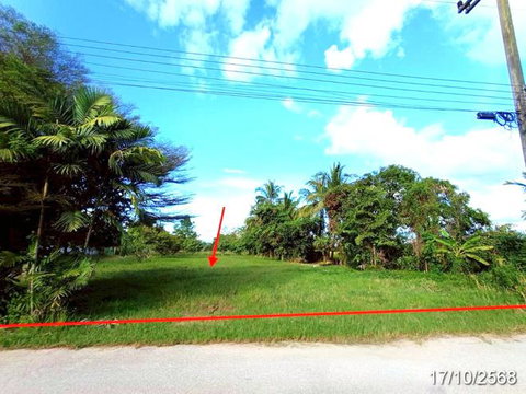 LAND 250 Sq.w. Fang Chiang Mai for 1.3M