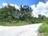listing thumbnail image 13