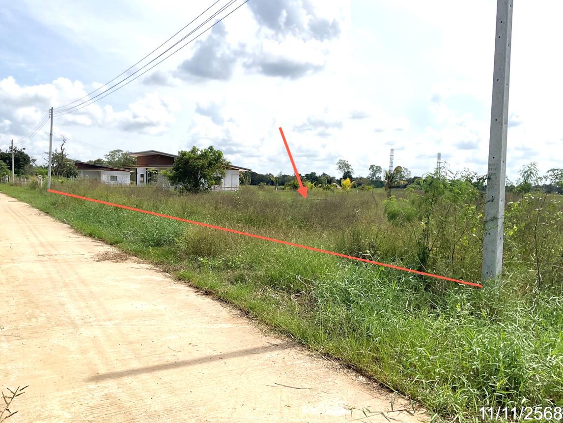 รูป ที่ดินว่างเปล่า 779.1 ตร.วา เมืองมหาสารคาม มหาสารคาม 5.3M - รูปที่ 10/19