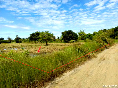 ขายที่ดิน : ที่ดินว่างเปล่า 1000 ตร.วา สตึก บุรีรัมย์ 1M