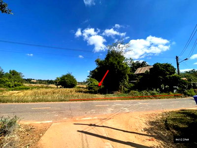 ขายที่ดิน : ที่ดินว่างเปล่า 195 ตร.วา ส่องดาว สกลนคร 504,000