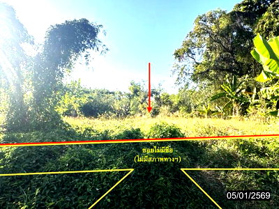 ขายที่ดิน : ที่ดินว่างเปล่า 667 ตร.วา ขุขันธ์ ศรีสะเกษ 1.4M