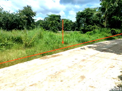 ขายที่ดิน : ที่ดินว่างเปล่า 1602 ตร.วา โกสุมพิสัย มหาสารคาม 1.8M