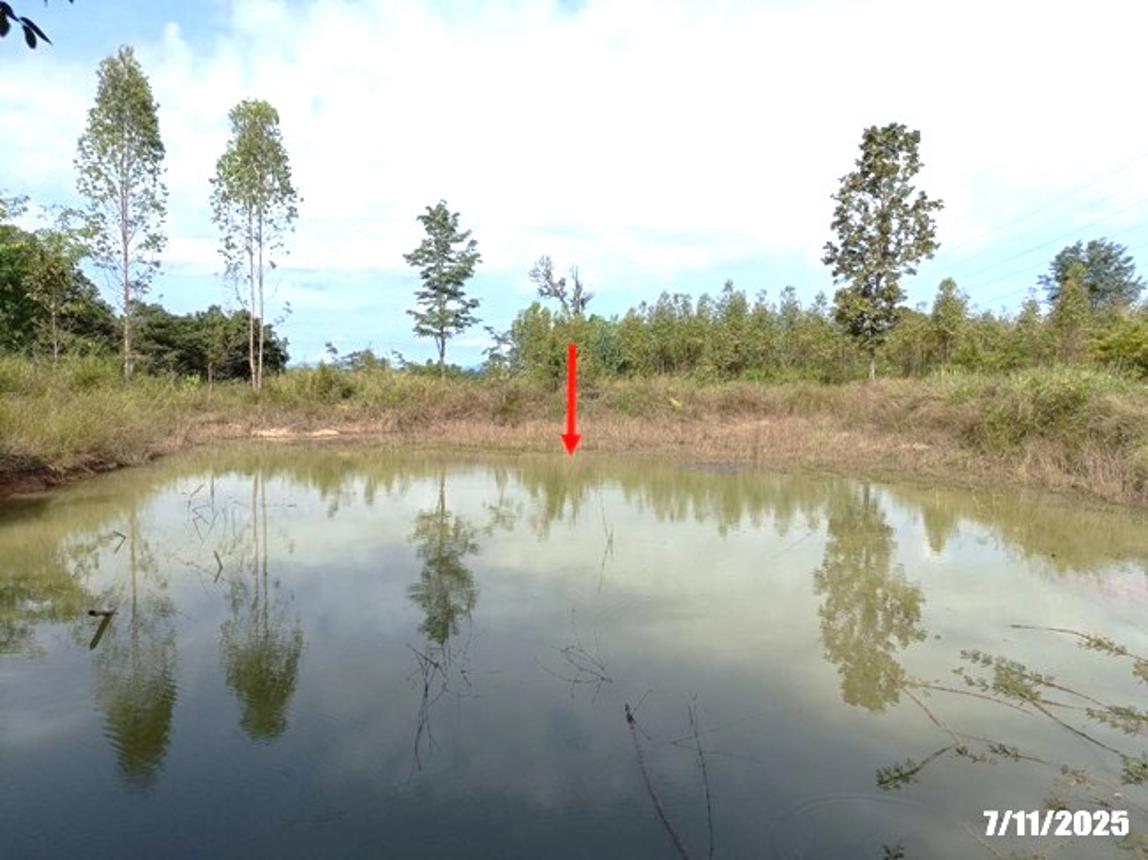รูป ที่ดินว่างเปล่า 7878 ตร.วา ศรีบุญเรือง หนองบัวลำภู 914,000 - รูปที่ 19/25