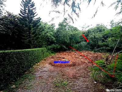 LAND 827 Sq.w. Pak Chong Nakhon Ratchasima for 3.5M