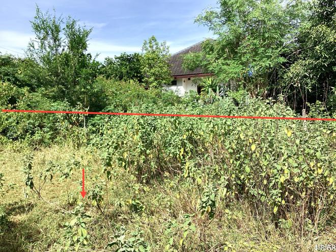 รูป ที่ดินว่างเปล่า 285.3 ตร.วา ปราณบุรี ประจวบคีรีขันธ์ 1.5M - รูปที่ 7/17