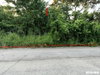 listing thumbnail image 19