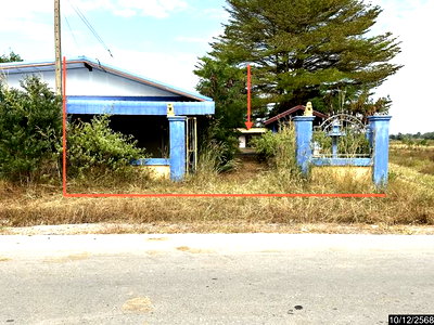 บ้านเดี่ยว ขอนแก่น : บ้านเดี่ยว 1534 ตร.วา บ้านแฮด ขอนแก่น 2.6M