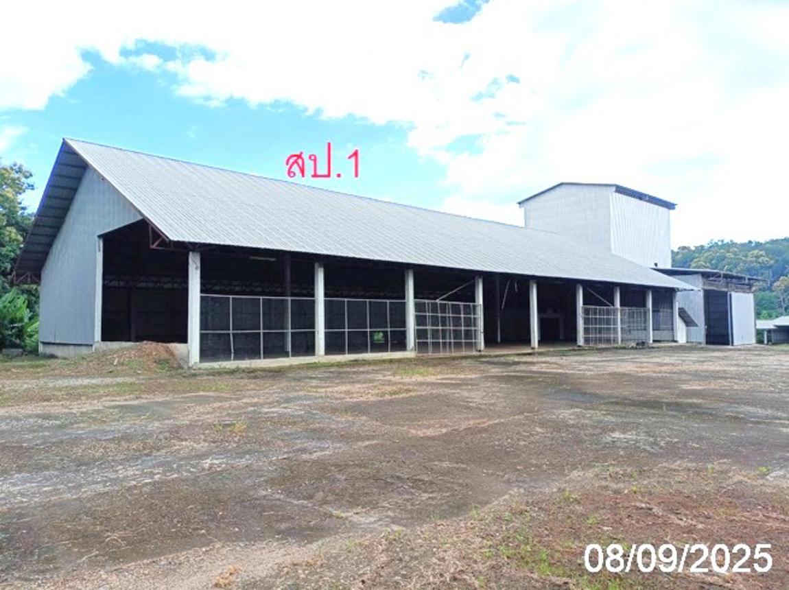 รูป โกดัง 2632 ตร.วา ขุนยวม แม่ฮ่องสอน 11.8M - รูปที่ 22/45
