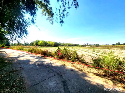 ขายที่ดิน : ที่ดินว่างเปล่า 8440 ตร.วา สมเด็จ กาฬสินธุ์ 2.3M