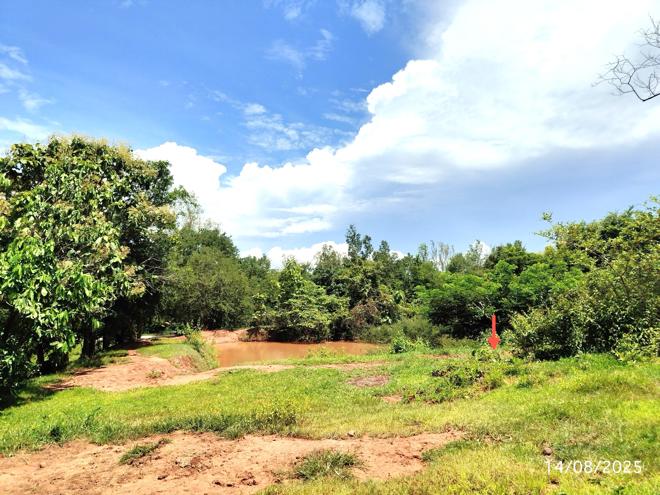 รูป ที่ดินว่างเปล่า 6108 ตร.วา ฟากท่า อุตรดิตถ์ 2.1M - รูปที่ 7/17
