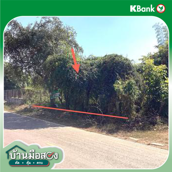 picture LAND 220 Sq.w. Nongkai for 1.5M - 19/21
