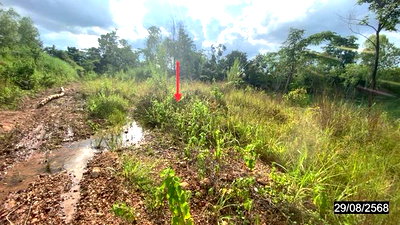 ขายที่ดิน : ที่ดินว่างเปล่า 25603 ตร.วา เมืองหนองบัวลำภู หนองบัวลำภู 25M