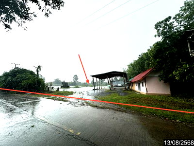 ขายโรงงาน : โกดัง 5035.7 ตร.วา น้ำยืน อุบลราชธานี 9M