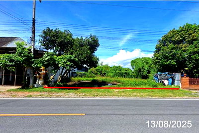 Land for sale : LAND 539.2 Sq.w. Wieng Nong long Lamphun for 3.5M