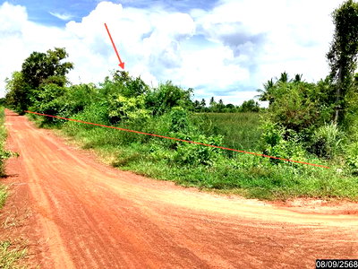 ขายที่ดิน : ที่ดินว่างเปล่า 2019 ตร.วา กุดจับ อุดรธานี 2M